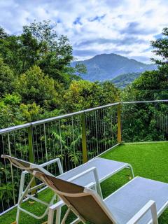 Planchonella Rainforest Pavilion - Edge Hill - 6