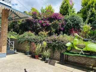 Aden Valley Tent Camping - 6