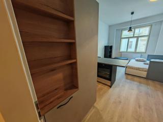 Quiet Studio in Hip Zizkov - 2