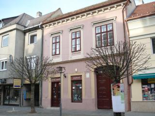 City apartman with piano - Keszthely - 7