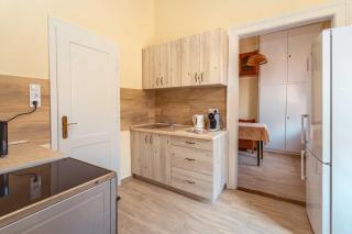 City apartman with piano - Keszthely - 0