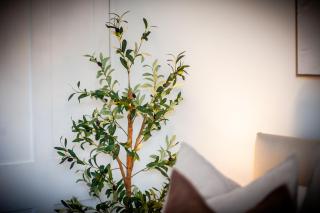 The Cedar - Free Parking, Netflix, Near M1, M69 - Enderby - 5