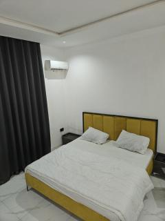 Diamond flux Apartments - Abuja - 3