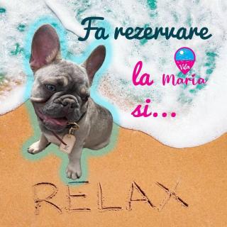 By Maria Eforie Sud - 2