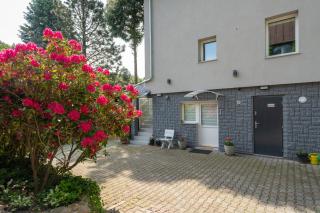 Karkonosky Apartamenty - Azalia - Karpacz - 1