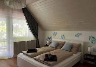Pelso d'Oro apartman - Balatonföldvár - 5