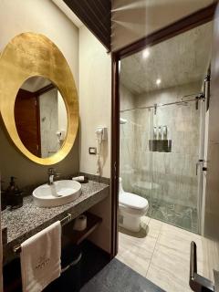 Hotel Arista 1026 - San Luis Potosí - 5
