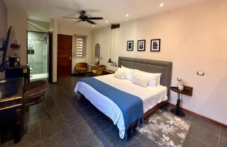 Hotel Arista 1026 - San Luis Potosí - 6
