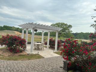 Comfort Inn & Suites Near Lake Guntersville - Scottsboro - 6