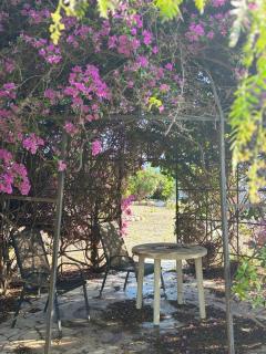 Casa PAYA ex casa Benedict - 8