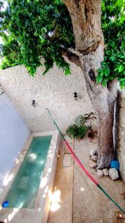 Casa La Joyita - Mérida - 2