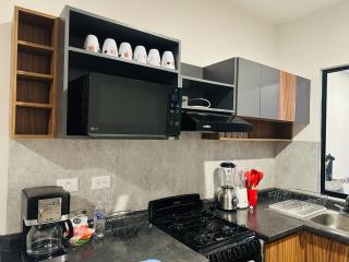 Hermoso Departamento nuevo en Villa de Pozos - San Luis Potosí - 2