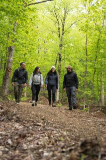 Cozy Yurt in the Woods - Sainte-Agathe-des-Monts - 8