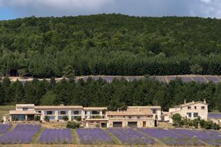 Domaine Château du Bois Provence - Lagarde-dʼApt - 9