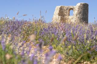 Domaine Château du Bois Provence - Lagarde-dʼApt - 2