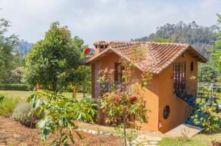Cabañas Suites Sergia Torres - San Cristóbal de Las Casas - 4