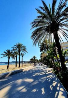 Location appartement au lavandou - Le Lavandou - 0