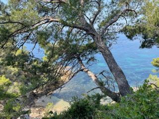 Location appartement au lavandou - Le Lavandou - 6