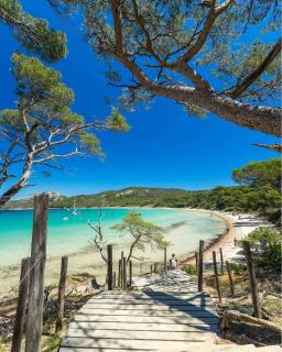 Location appartement au lavandou - Le Lavandou - 3