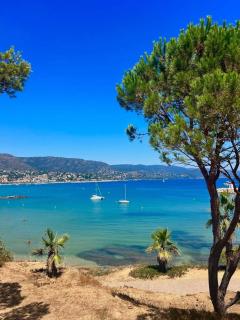 Location appartement au lavandou - Le Lavandou - 2