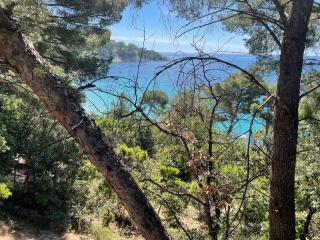 Location appartement au lavandou - Le Lavandou - 1