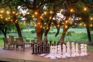 Birdsong - Hot Tub Lawn games Close to Wineries - Fredericksburg - 8