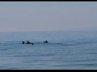 2 bedroom challet with private garden at Riviera beach resort Ras Sudr,Families only - Ras Sedr - 6