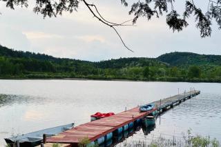 Whispering pines cabin - Bouchette - 5