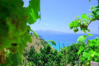 Villa Dori - Saranda - 7