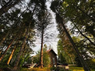 Whispering pines cabin - Bouchette - 8