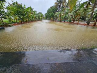 BIKI'S PALM VILLA - Kaduturutti - 2