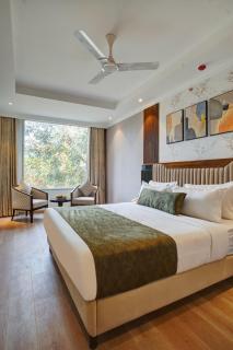 IVA Premium by UV Hotels - Free Airport Pickup or Drop - Neu-Delhi - 3