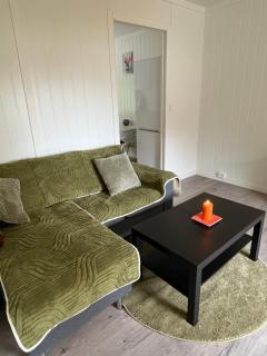Green apartment - Odda - 2
