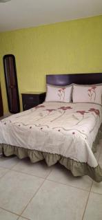 Habitación Cerca del Metropolitano - Guadalajara - 7