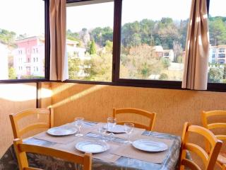 quiet, comfortable, air-conditioned, 10m swimming pools, Cannes, Grasse - Mougins - 1