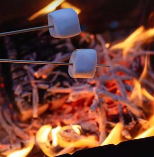Dog Friendly Cozy Bell Tent With Log Burner - Llanfairpwllgwyngyll - 5