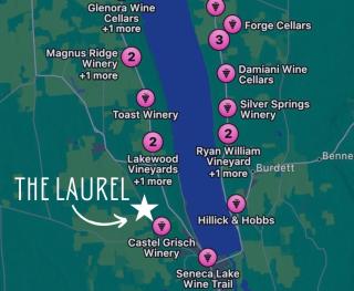 Watkins Glen Luxury Escape on Seneca Wine Trail - Watkins Glen - 2