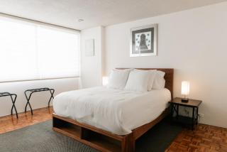 Amazing apartment in Condesa - 1