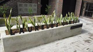 Laureles Garden - Medellín - 2