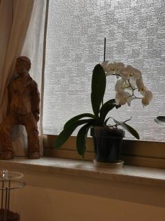 Hotel Lukas - Viareggio - 8