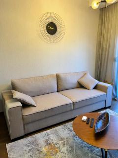 Montenegro Prestige Suite - Podgorica - 5