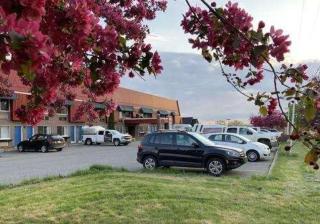 Motel Le Transit - Mont-Saint-Hilaire - 9