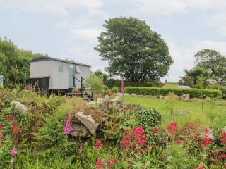 Teg - Helston - 8