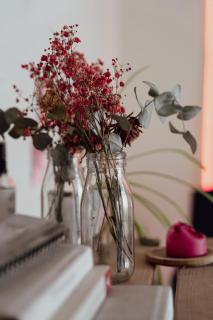 Cosy apartment near the station - Gand - 1