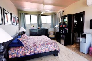 Enjoy AC in the Penthouse at Inn Ajijic - Ajijic - 9
