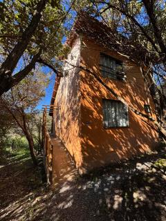 Girassóis do Vale - 5