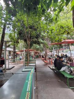 Casa Branca - São Paulo - 8