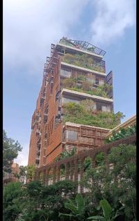 Casa Branca - São Paulo - 7