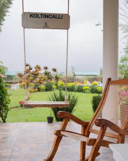 Koltincalli - Xico - 7