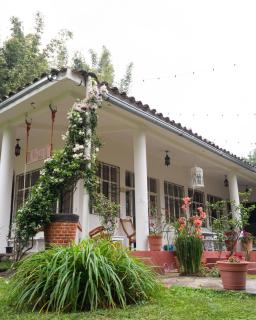 Koltincalli - Xico - 8
